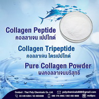 คอลลาเจน ไตรเปปไทด์, Collagen Tripeptide, คอลลาเจน, Collagen