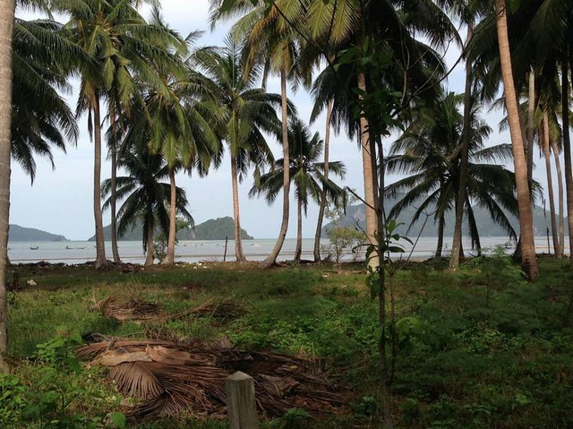 ขายที่ดิน 2 แปลง ที่ดินขนาด 200 ตารางวา ตรงข้ามเกาะกุลา จังหวัดชุมพร