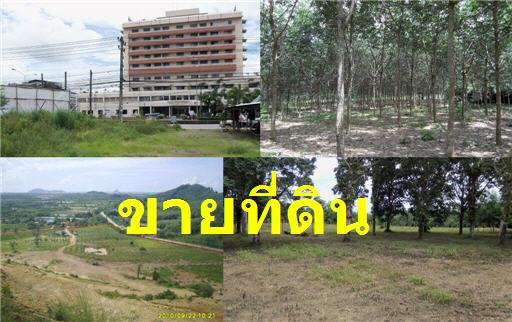 ขายที่ดินจำนวนมาก ขายหลาด สวนผลไม้ ภาคตะวันออก จันทบุรี